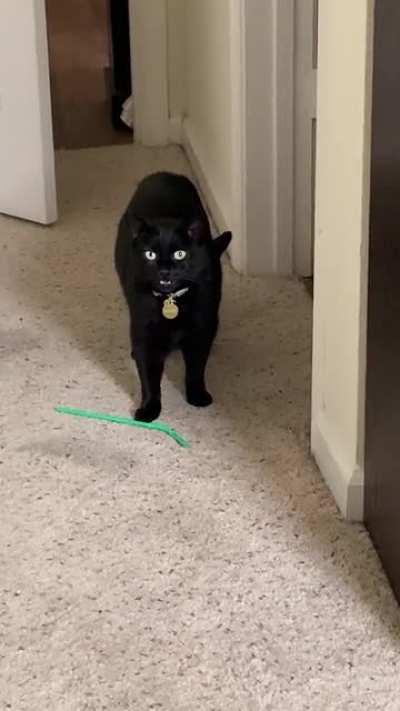 My snake! My green snake! ... I don’t have the heart to tell her it’s a straw.