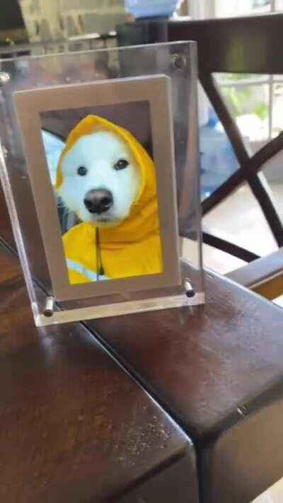 The cute @everythingatlas