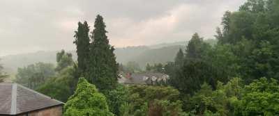 Rain, The Forest of Dean, UK