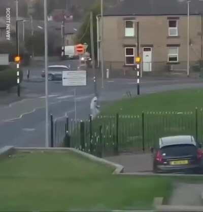 Bumbling Criminal Evading Police with Sports Commentary