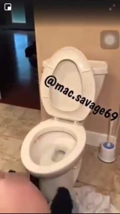 Guys, is @mac.savage69 YMH material?