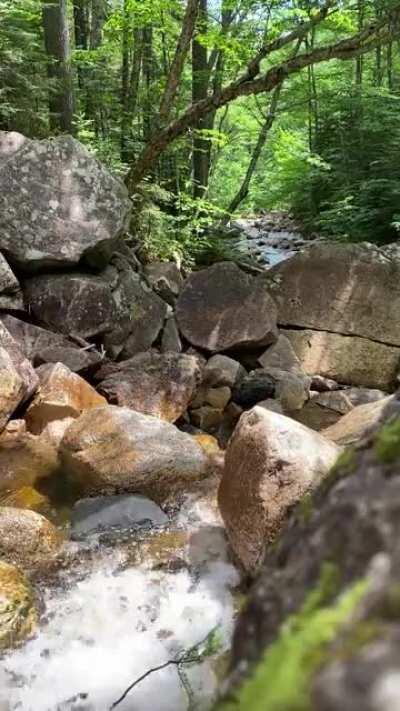 Enjoy 30 seconds of blissful solitude in your stressful day... Cheers!