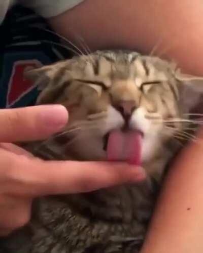 We can all use a little help!