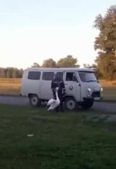 Well someone's happy to see you come home