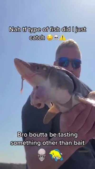 I'm 15 and this is yeet