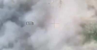 A Russian soldier attempted to disarm a downed UA FPV with a tree limb, setting it off.