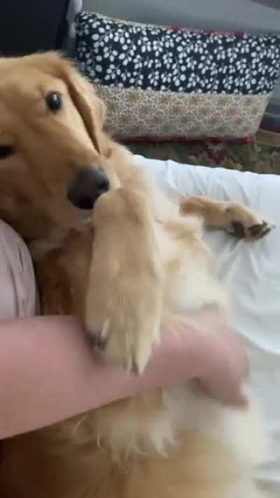 He does not like it if you stop.