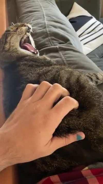 Echo is particularly outspoken when her beauty sleep is disturbed