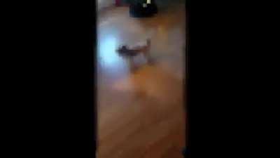 Showing my dog, my new toothbrush.