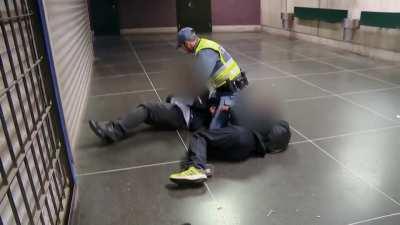 Swedish Security Guard takes down 2 people fighting in the subway