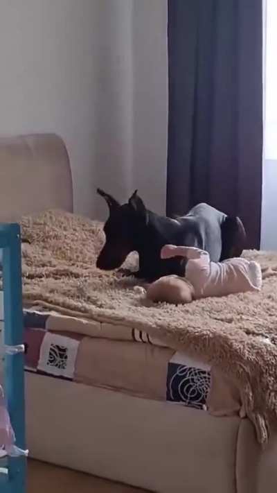 What more could you ask for