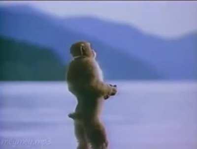 Clip facut in memoria legendei Vasile Traian(octombrie 1954-6 mai 2022 RIPð¹)