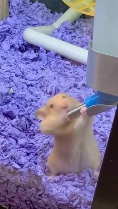 Desperate for that hydro