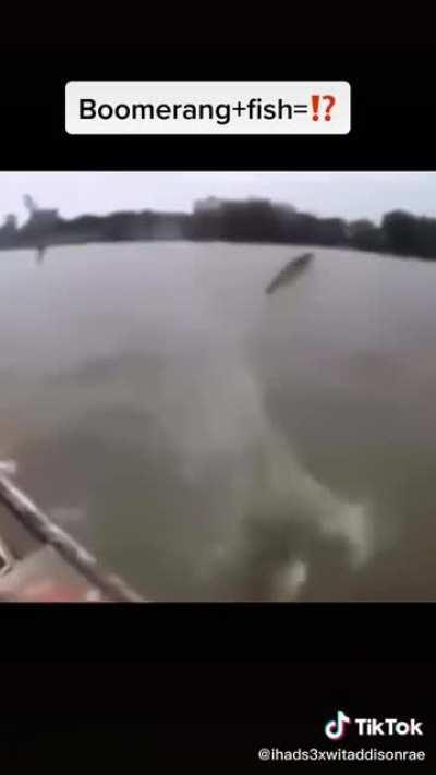 The boomerang fisherman