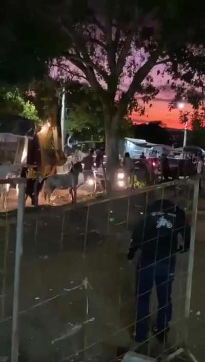 O Maluco com uma RETROESCAVADEIRA Atropelando tudo na vaquejada em Juazeiro,BA.