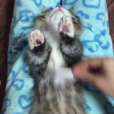 He loves his tiny comb