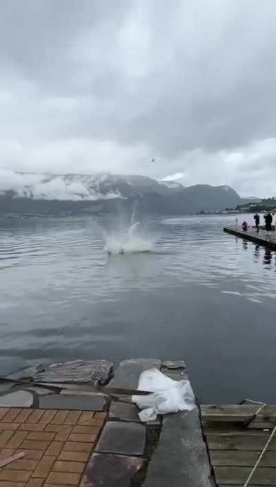 I thought the drone was a second Viking 