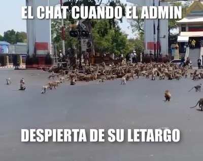 Larga vida al admin🐒🤟🏾