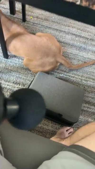 My brother just got a new massage gun...