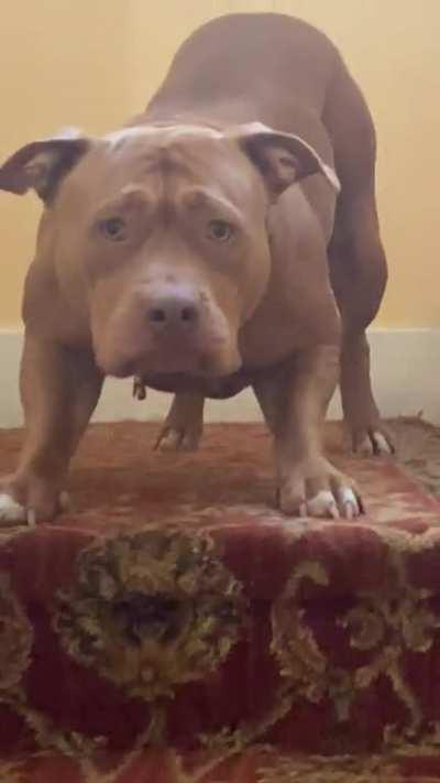 Willow loves all creatures! But one makes her realllly nervous….