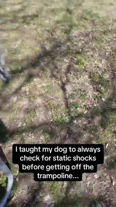 She was so gentle with it 🥺🐶