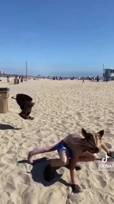 okay time to get the rat poison