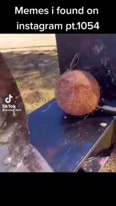 lucky coconut not really lucky