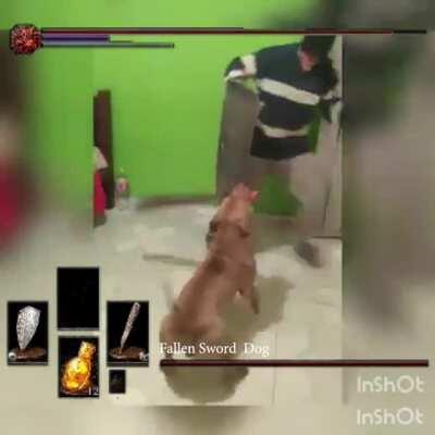 Hey, my dog's been acting weird lately, should i worry?