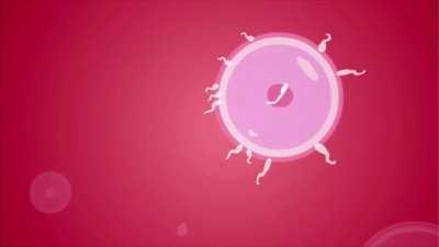 Kira Noir begging for a White Baby.