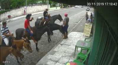 No horses were harmed. Same can't be said for the people.