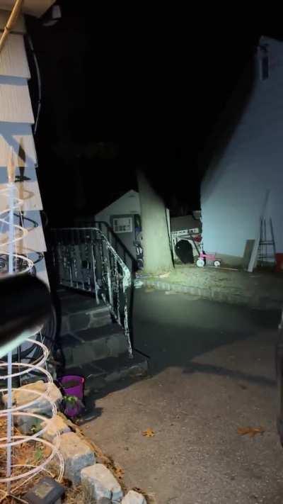 Guy playing paintball with a bear