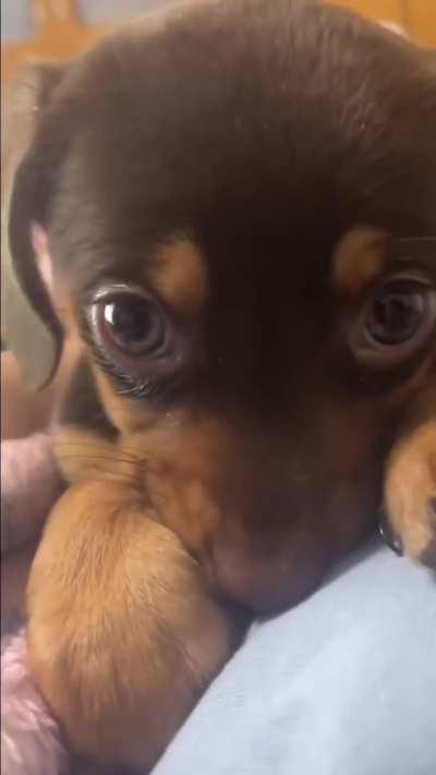 How cute can hiccups be?🤧🥹🫶🏻