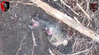 Russian soldier freezes to death due to traumatic leg injury from drone explosion, footage from Ukrainian Combat Group 