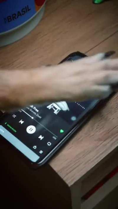 Cachorro bolsonarista ? kkk