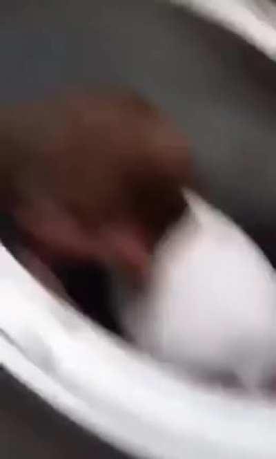 They really are stupid...