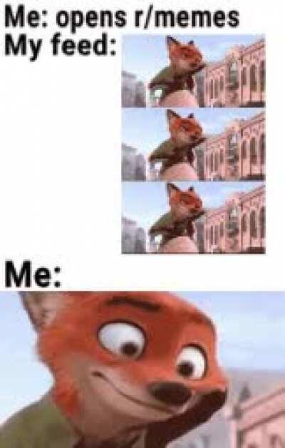 So many Gifs so little loading