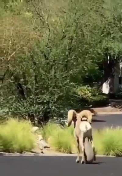 This man is carrying the entire next generation