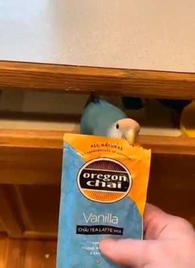 A help from a good bird