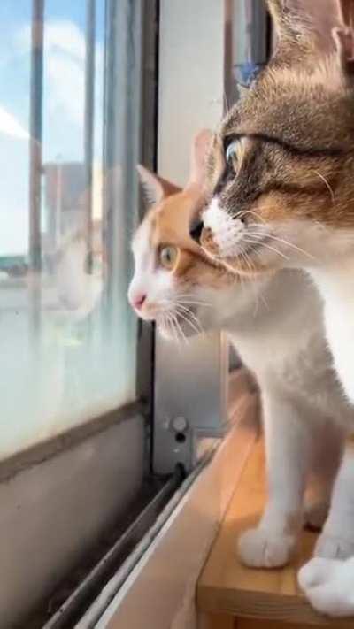 Что-то интересное обсуждают