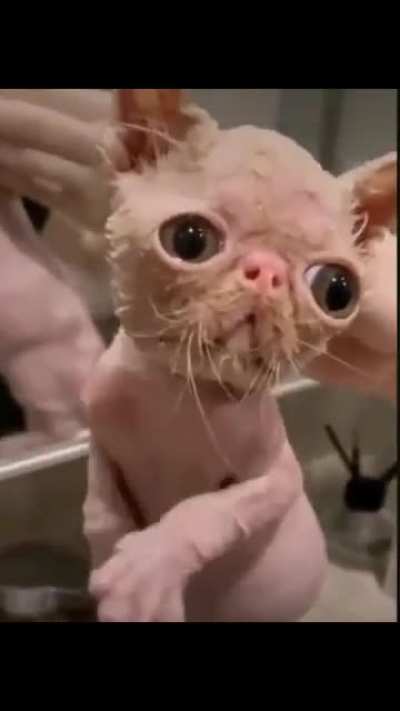 Djahsb Usbwjdnf K dbdn ow!?