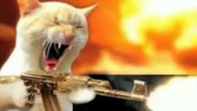 Não leve a sério e só uma sátira...