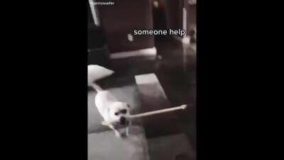 A revolução começou, qual será o próximo passo??