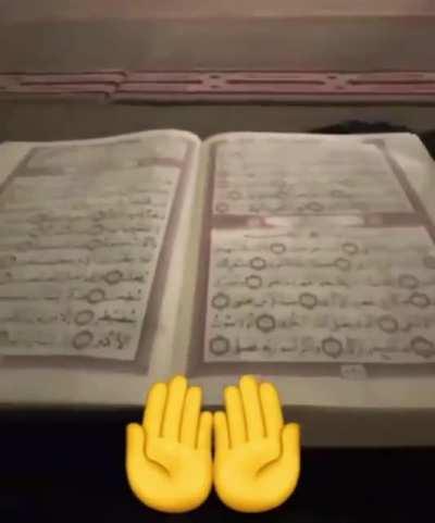 fuerza palestina 🇵🇸💪💪