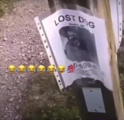 To film an hilarious prank call