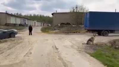 From frying pan to fire