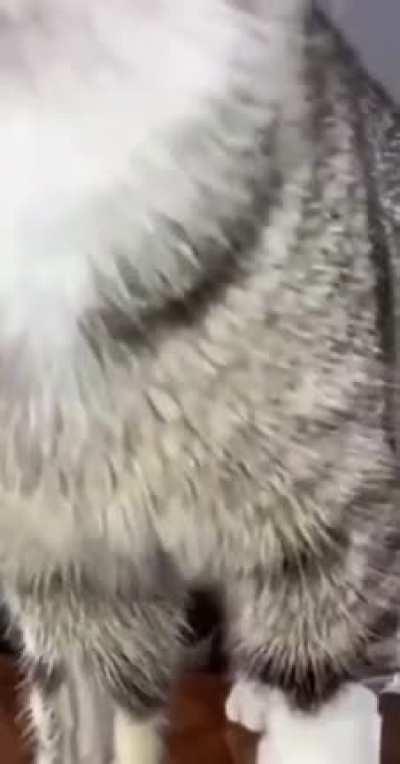 Just when you get invest for a peek-a-boo