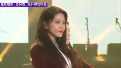 To introduce K-Pop concerts in North Korea