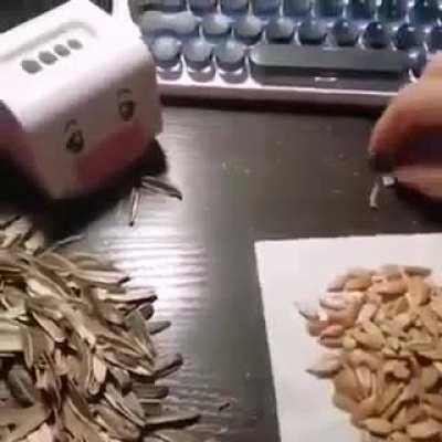 лузгатор семян подсолнечника, маде ин сина