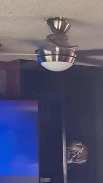 Not turning off the fan