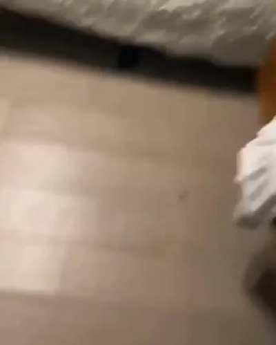 Don't touch the cum sock!